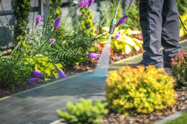 Best Animal Enclosure Cleaning  in Garnet, CA
